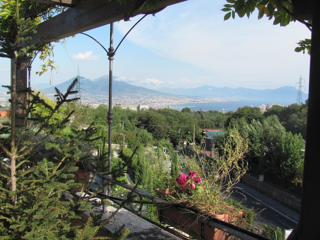 La Rocca Di Loyola